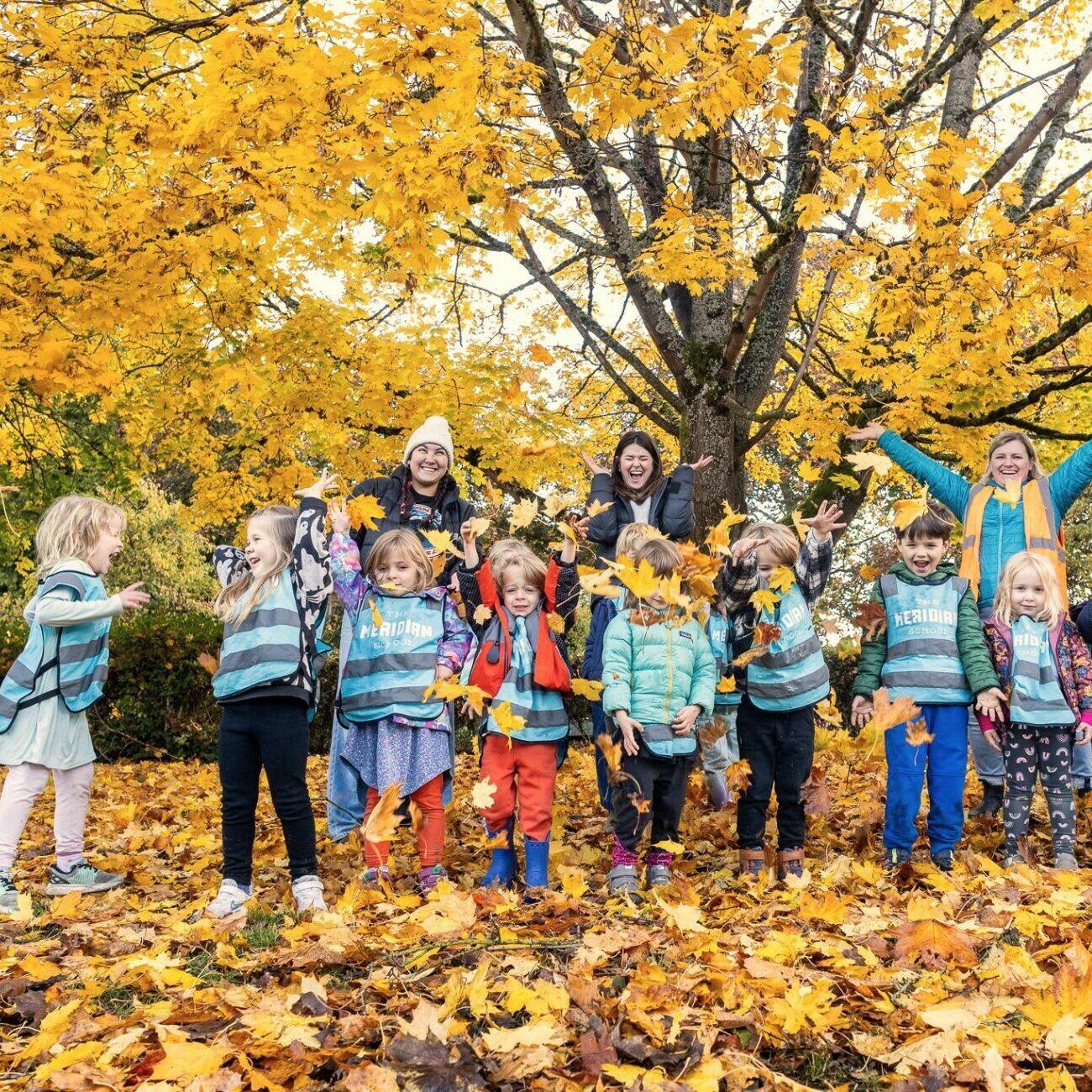 Students toss leaves into the air.